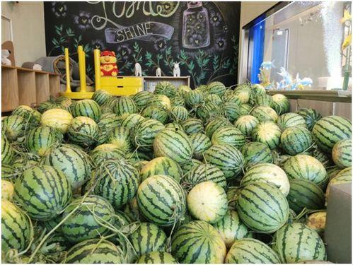 今日吃瓜合集,娱乐圈风云再起,热点事件盘点